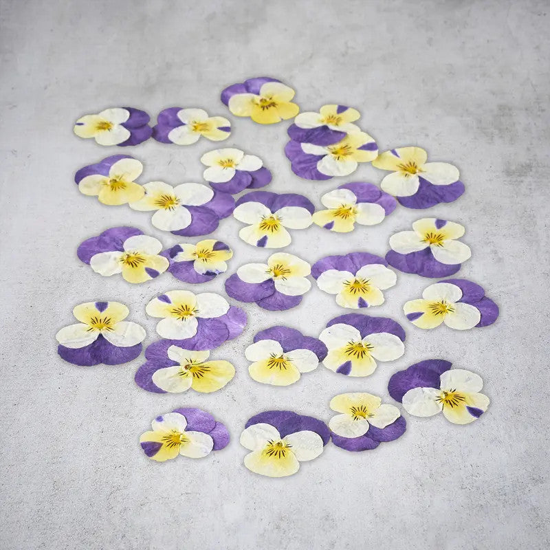 Fleurs de pensées séchées