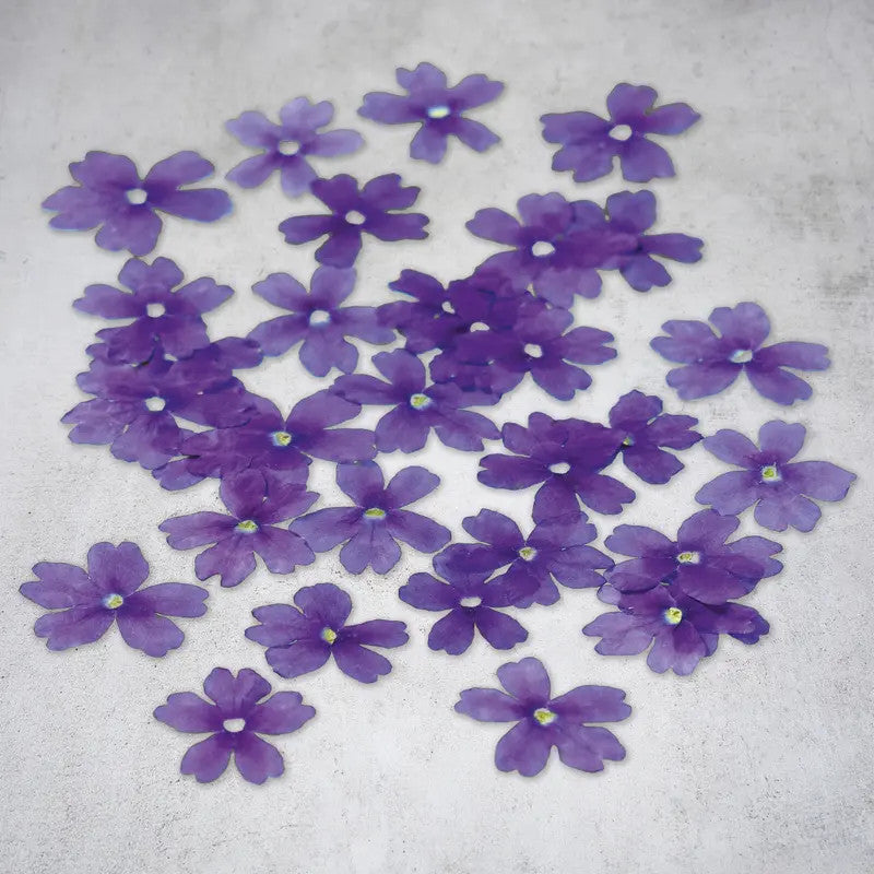 Flores de verbena secas