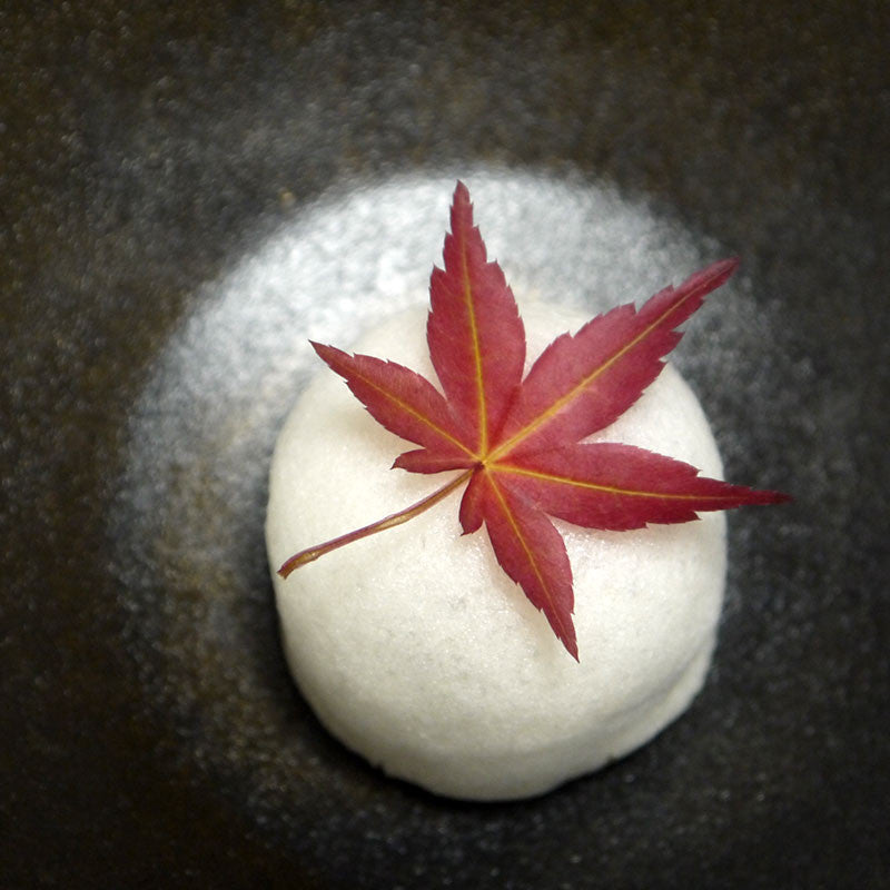 Folhas de bordo japonês secas Momiji