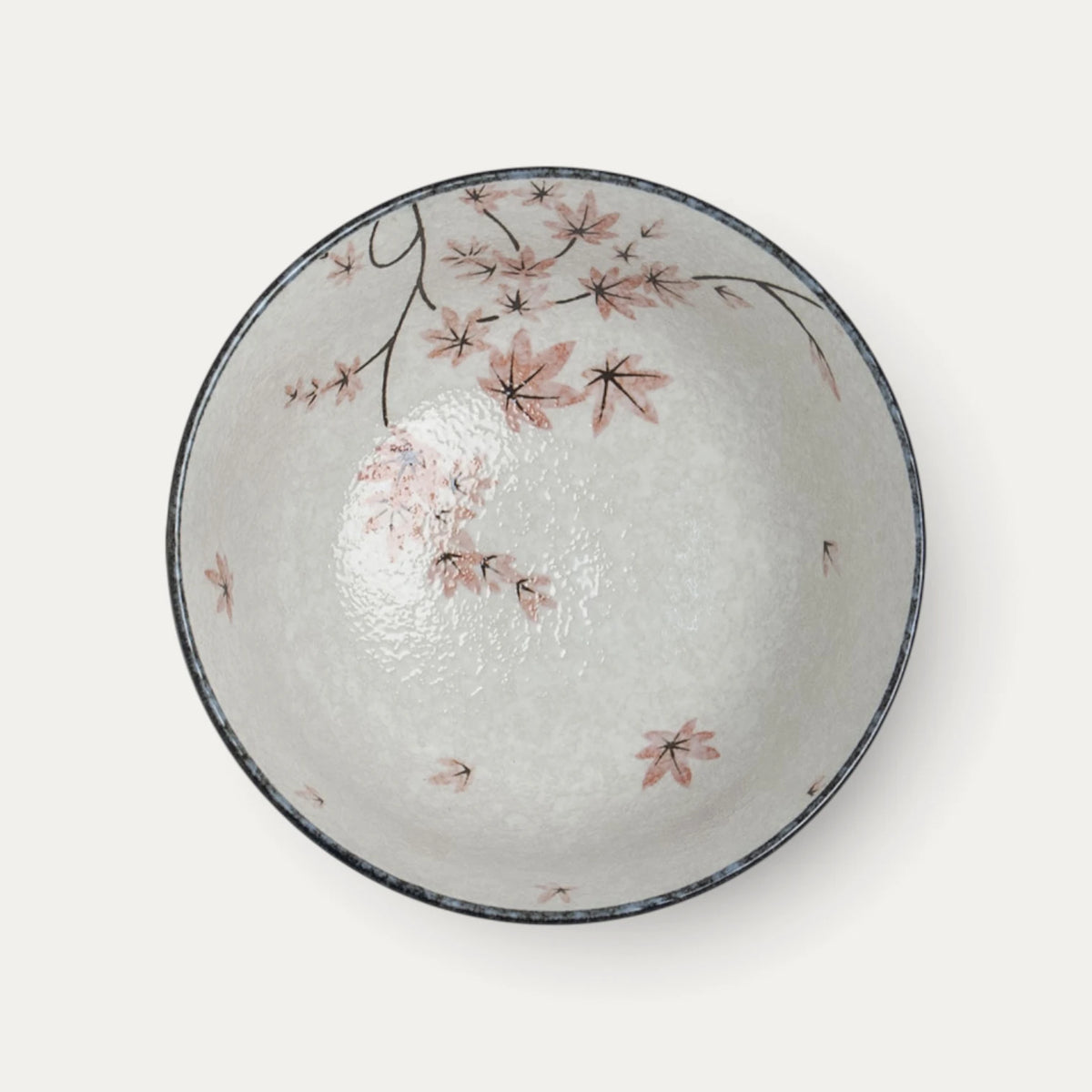 Bol à Udon