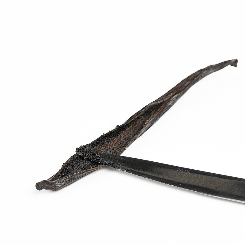 Vaniglia nera Gourmet intera Tahitensis