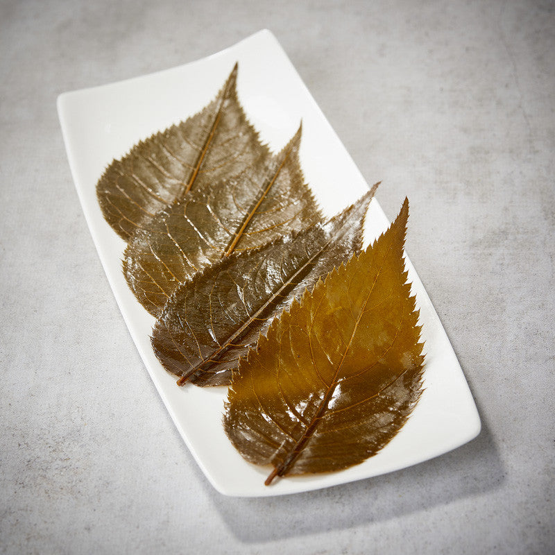 Feuilles de cerisiers sakura Fleurs & feuilles