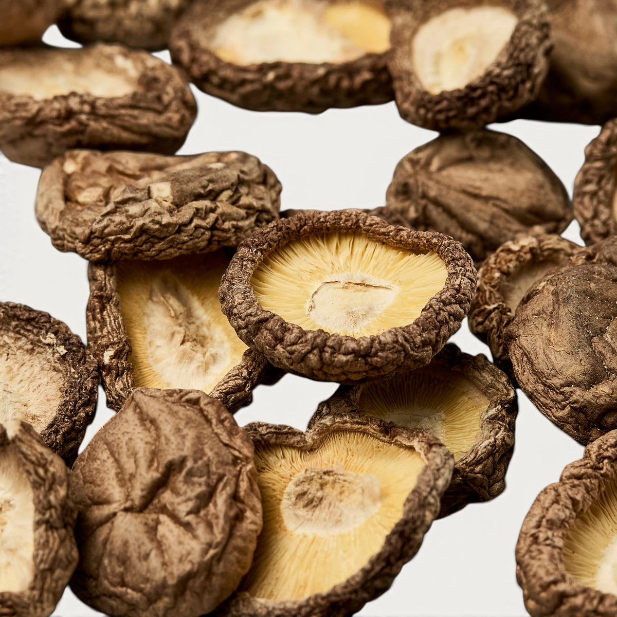 Stemless Shiitake diameter 1-3 cm