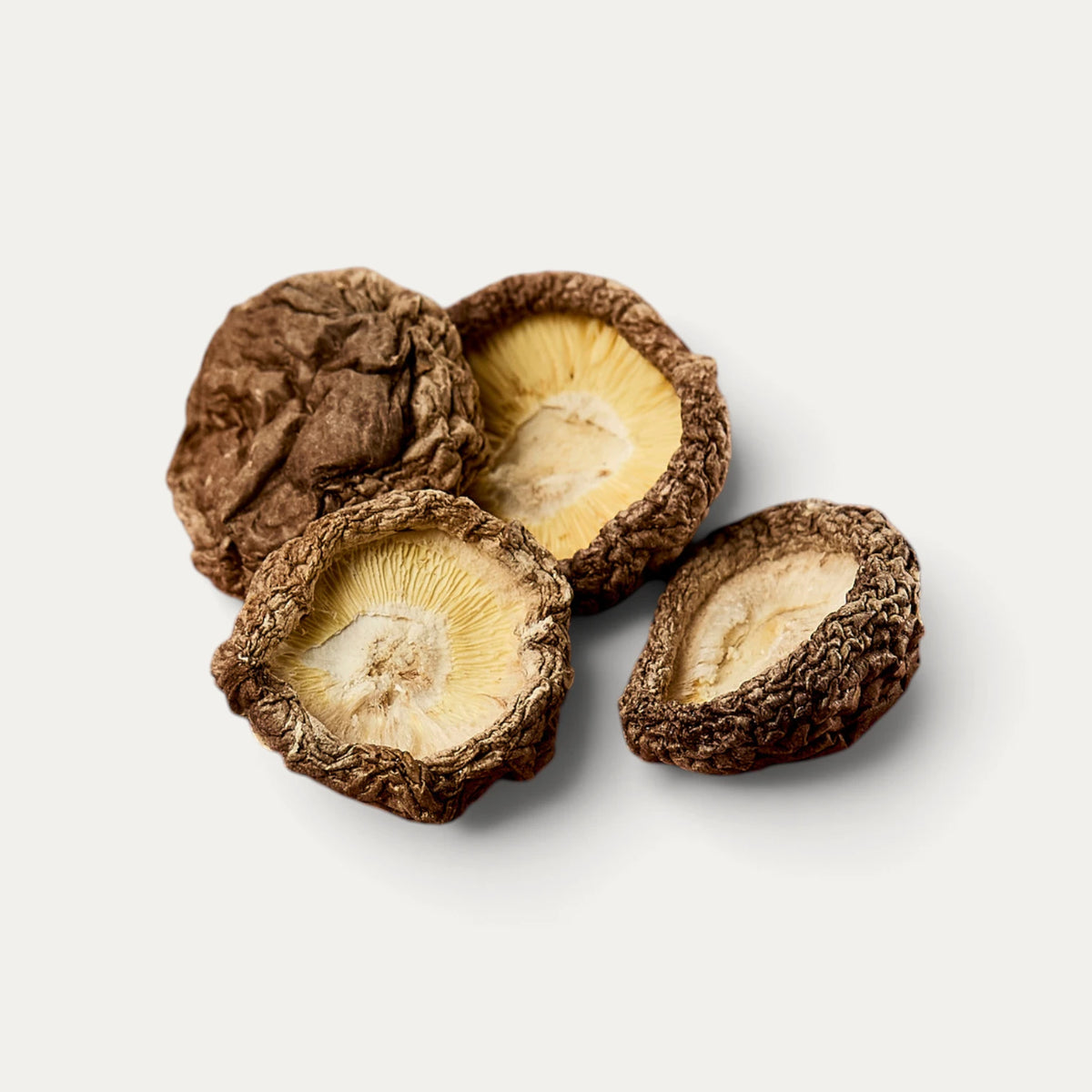 Shiitake zonder steel diameter 1-3 cm