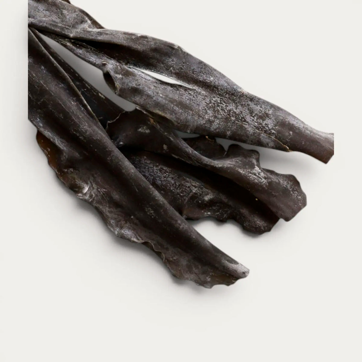 Kurokuchihama Ma Kombu Premium -levät Hokkaidolta