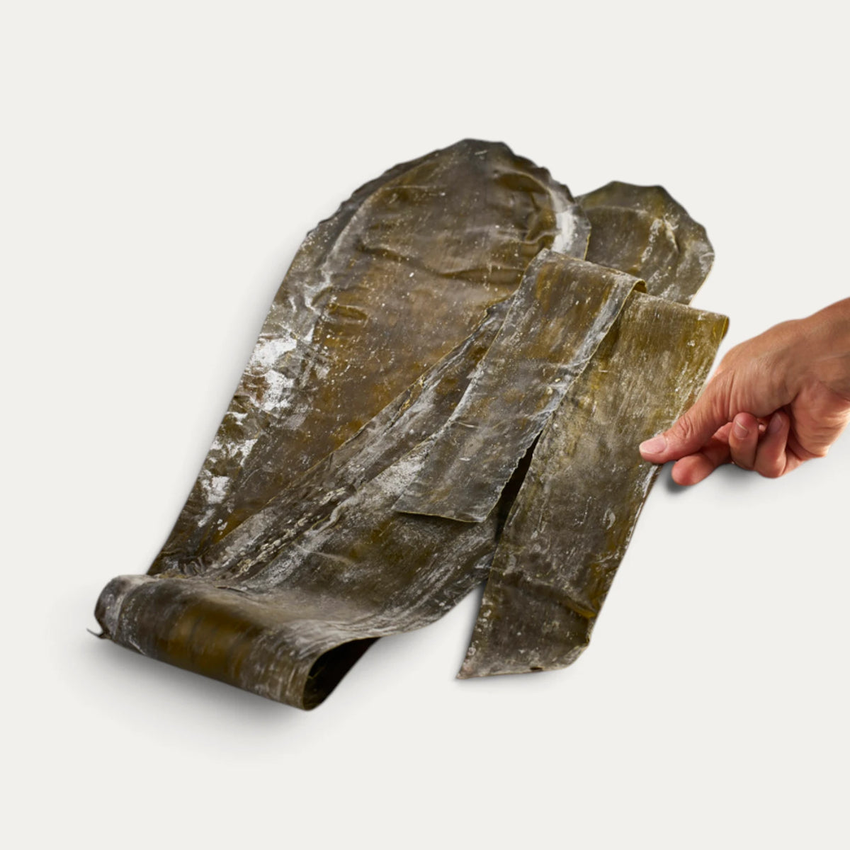 Rausu Kombu premium -merilevä - 1kg