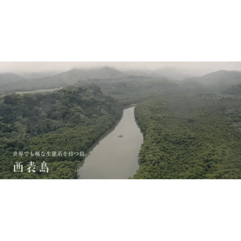 Raw black cane sugar powder from IRIOMOTE 1 kg