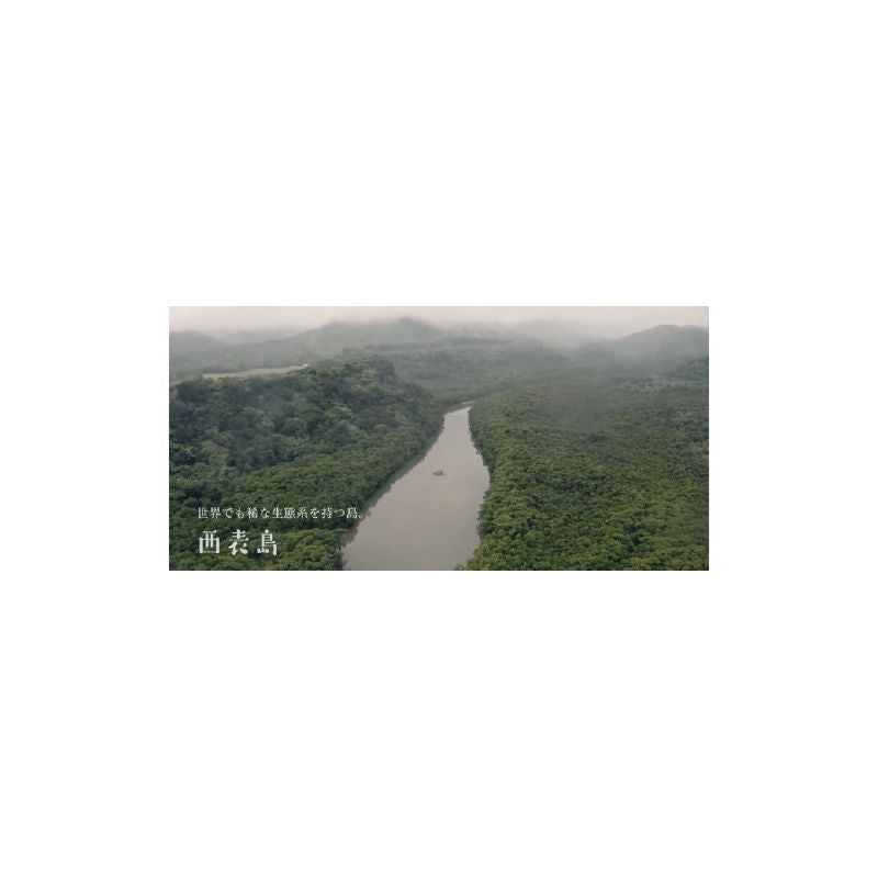 IRIOMOTE:n raaka musta ruokosokeri paloina 1 kg