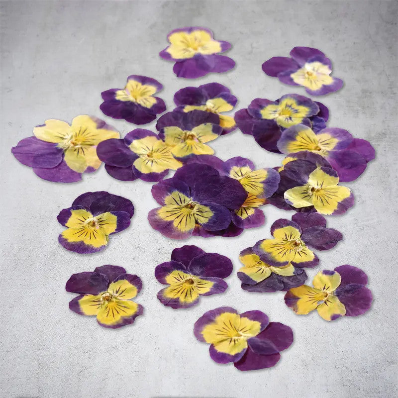 Flores de pensamientos secas