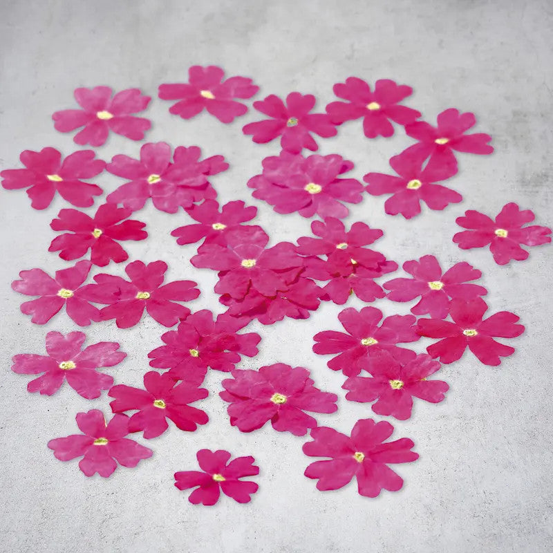 Fleurs de verveine séchées