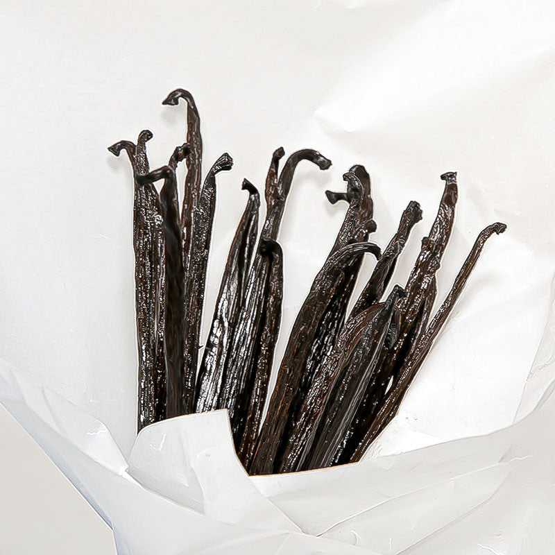 Vanille Gourmet non fendue Planifolia