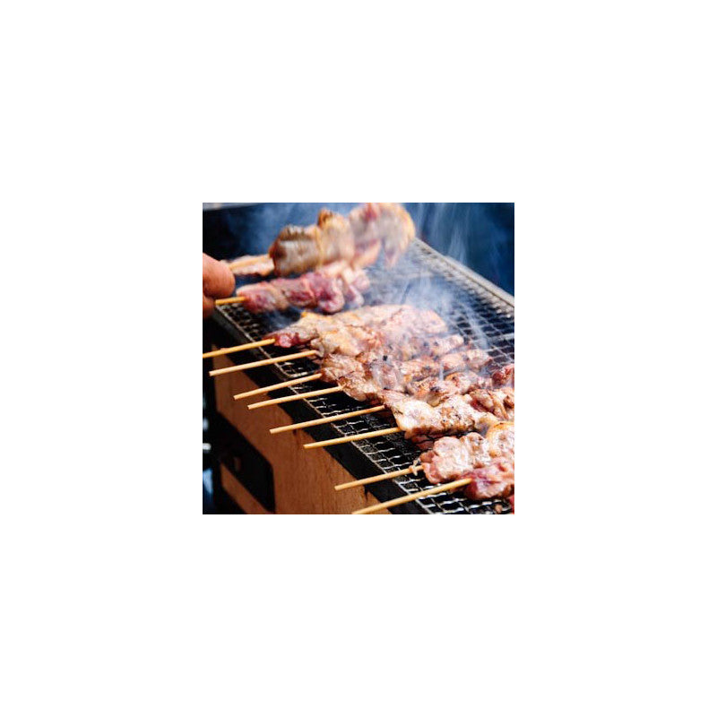 Tisch-Barbecue Konro Stove BQ22