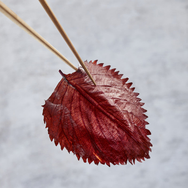 Shiso bladeren condiment