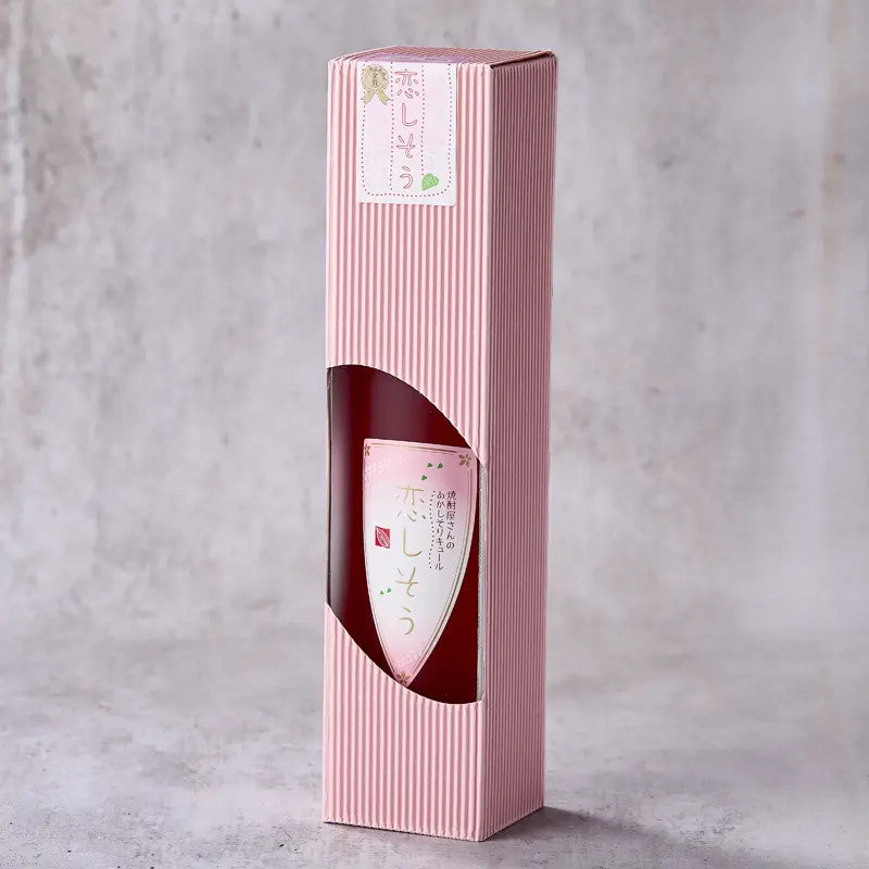 LIQUORE KOISHISO