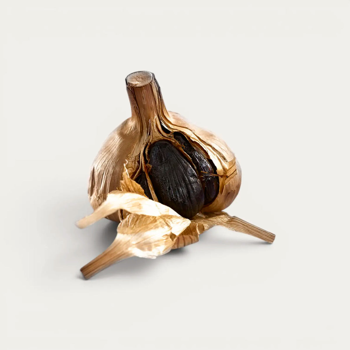Zwarte knoflook uit Aomori of Mié