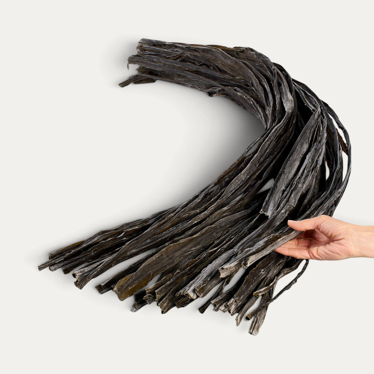 Villiyrttilevä Hidaka Kombu - 1 kg