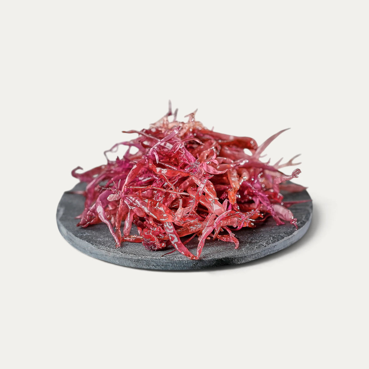 Algue funori sauvage Premium de Iwate 20g