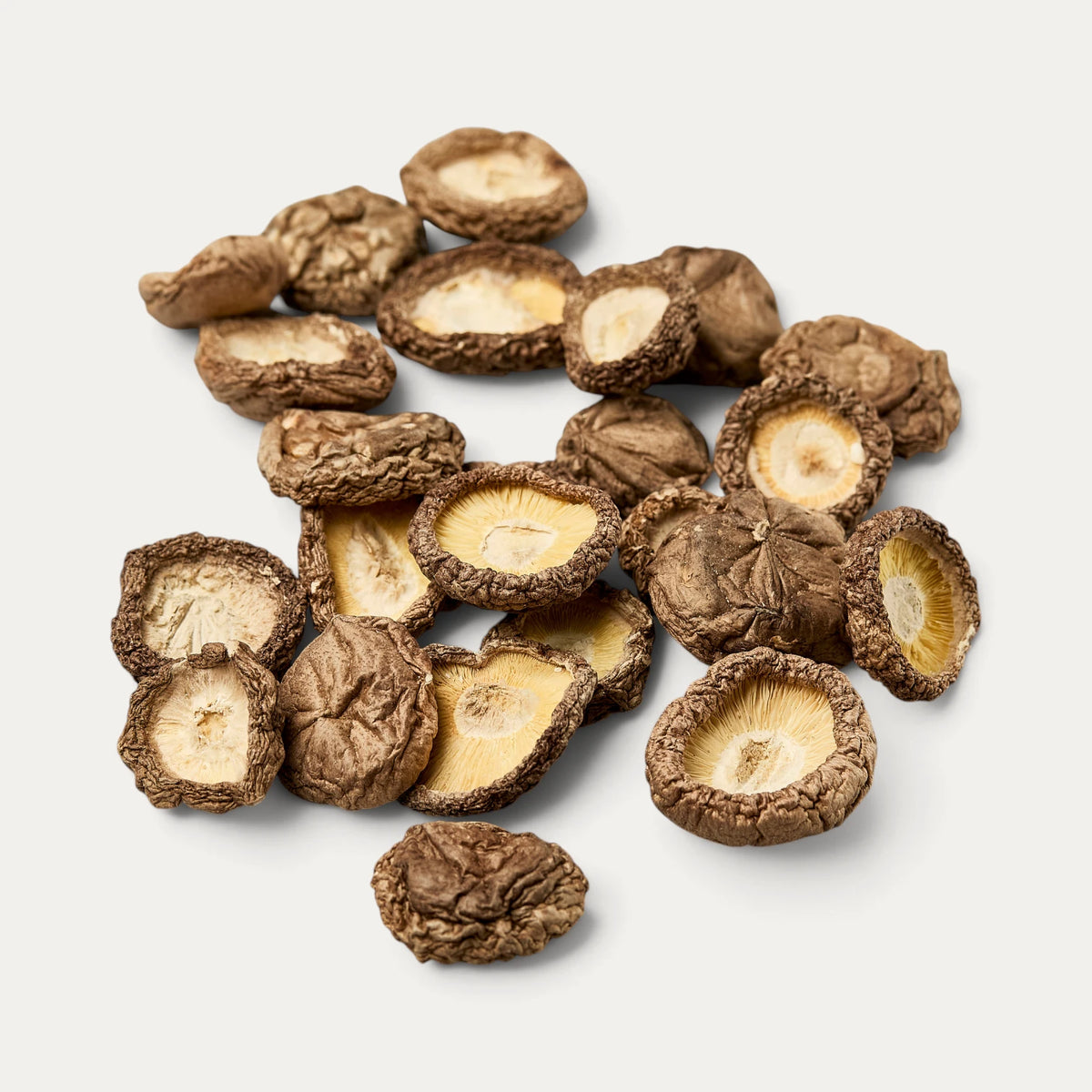 Stemless Shiitake diameter 1-3 cm