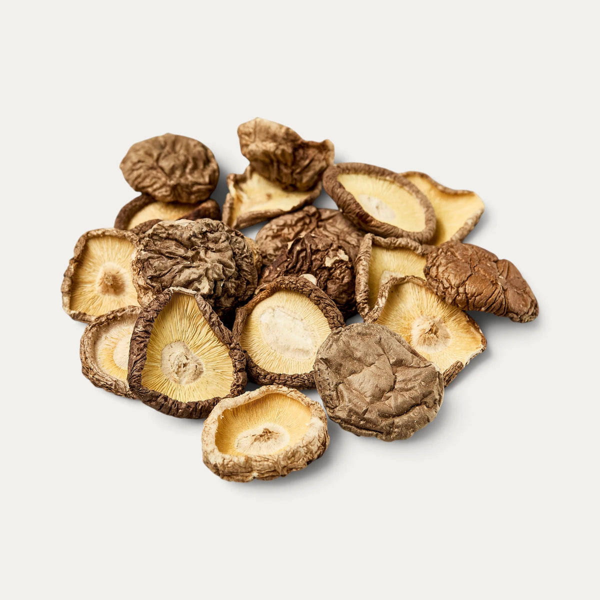 Shiitake zonder steel diameter 3-5 cm