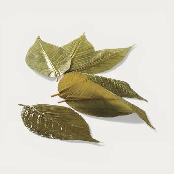 Sugared Sakura Cherry Blossom Leaves